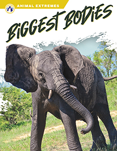 Cover Art for Biggest Bodies