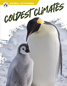 Cover Art for Coldest Climates