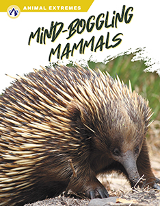 Cover Art for Mind-Boggling Mammals