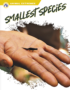Cover Art for Smallest Species