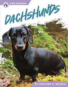 Cover Art for Dachshunds