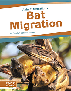 Cover Art for Bat Migration