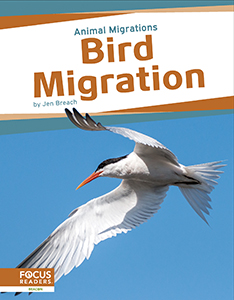 Cover Art for Bird Migration