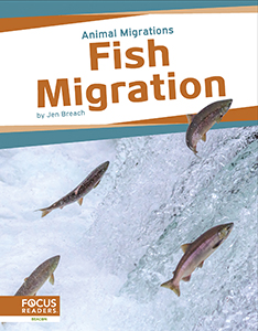 Cover Art for Fish Migration