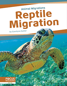 Cover Art for Reptile Migration