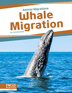 Cover Art for Whale Migration