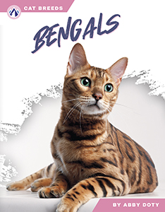 Cover Art for Bengals