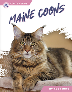 Cover Art for Maine Coons