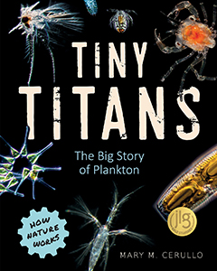 Cover Art for Tiny Titans: The Big Story of Plankton