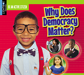 Cover Art for Why Does Democracy Matter? 