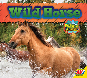 Cover Art for Wild Horse