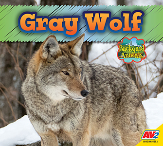 Cover Art for Gray Wolf