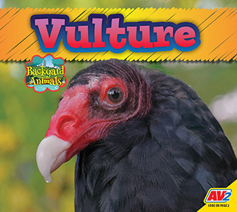 Cover Art for Vulture