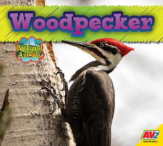 Cover Art for Woodpecker